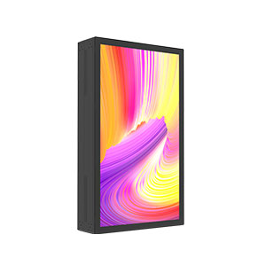 Outdoor digital enclosure BFA series- double side